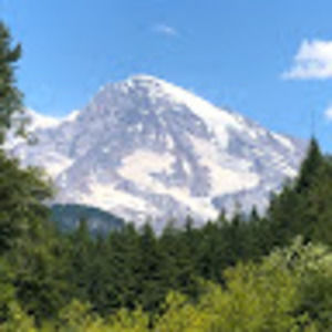 Meet your Posher, Oliver